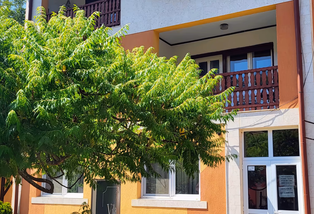 Casa Mică — Camere 11