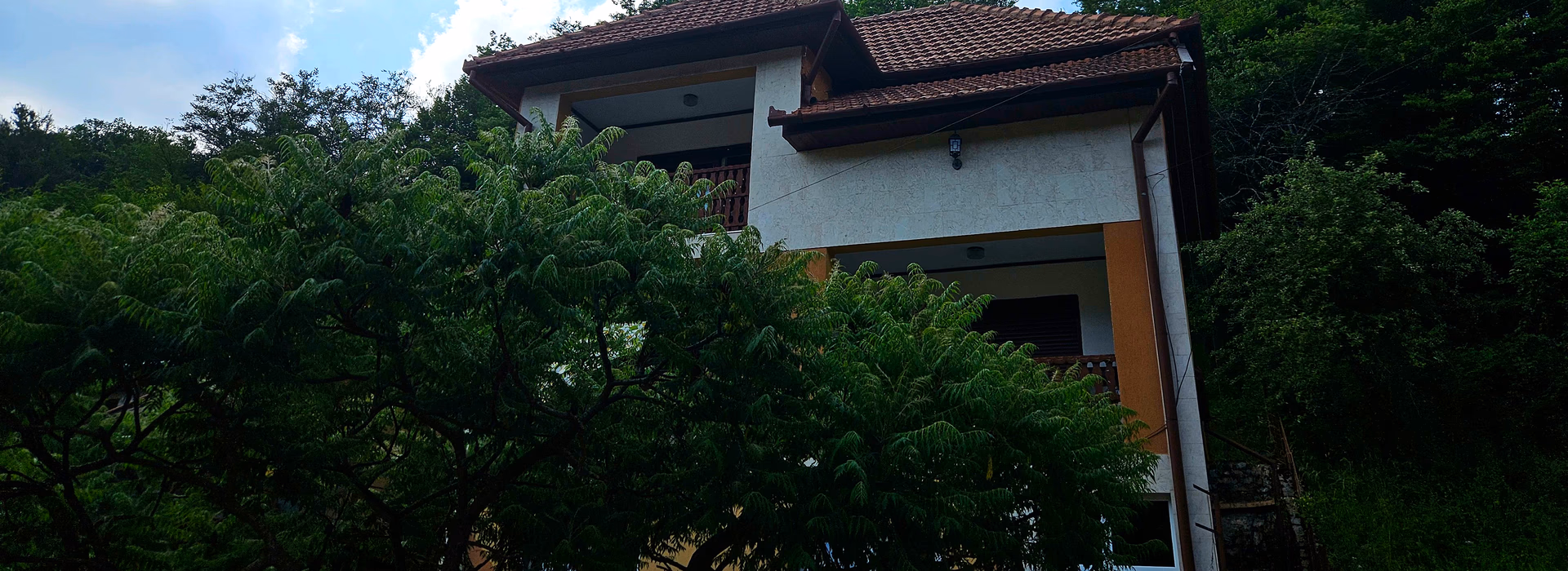 Casa Mică — Vila Raluca Moneasa, vedere exterioară