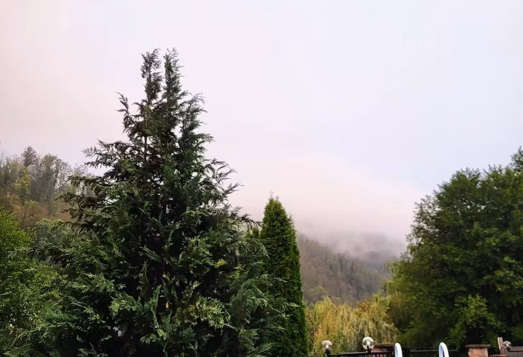 Casa Mare — Curte 1